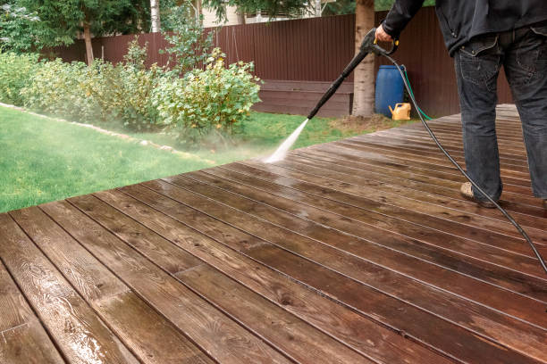 Best Roof Cleaning and Mildew Removal in Farmersville, TX